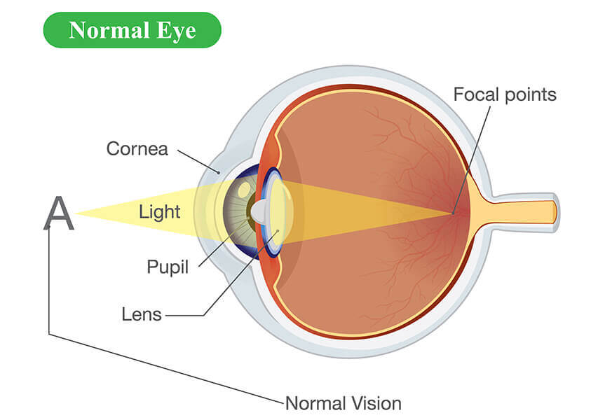 Normal Eye Diagram